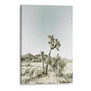 Parque Nacional Joshua Tree Impresión Vintage - Melanie Viola | Cuadro decorativo de Canvas Lab