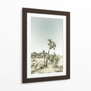 Parque Nacional Joshua Tree Impresión Vintage - Melanie Viola | Cuadro decorativo de Canvas Lab