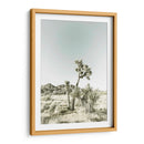 Parque Nacional Joshua Tree Impresión Vintage - Melanie Viola | Cuadro decorativo de Canvas Lab