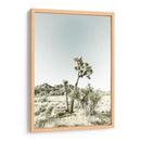 Parque Nacional Joshua Tree Impresión Vintage - Melanie Viola | Cuadro decorativo de Canvas Lab