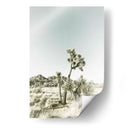 Parque Nacional Joshua Tree Impresión Vintage - Melanie Viola | Cuadro decorativo de Canvas Lab