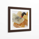 Chilacayote cristalizado - mem | Cuadro decorativo de Canvas Lab