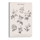 Roses Communes - Florent Bodart | Cuadro decorativo de Canvas Lab