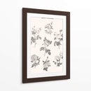 Roses Communes - Florent Bodart | Cuadro decorativo de Canvas Lab