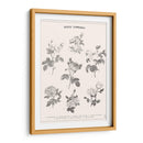 Roses Communes - Florent Bodart | Cuadro decorativo de Canvas Lab