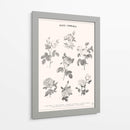Roses Communes - Florent Bodart | Cuadro decorativo de Canvas Lab