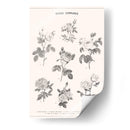 Roses Communes - Florent Bodart | Cuadro decorativo de Canvas Lab