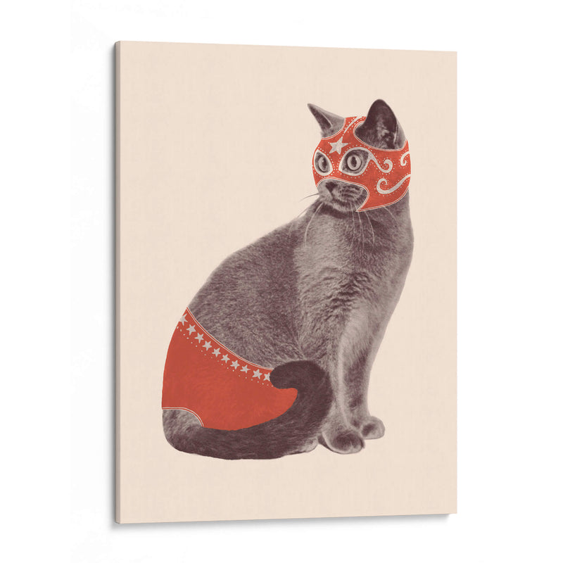 Chat Catcheur - Florent Bodart | Cuadro decorativo de Canvas Lab