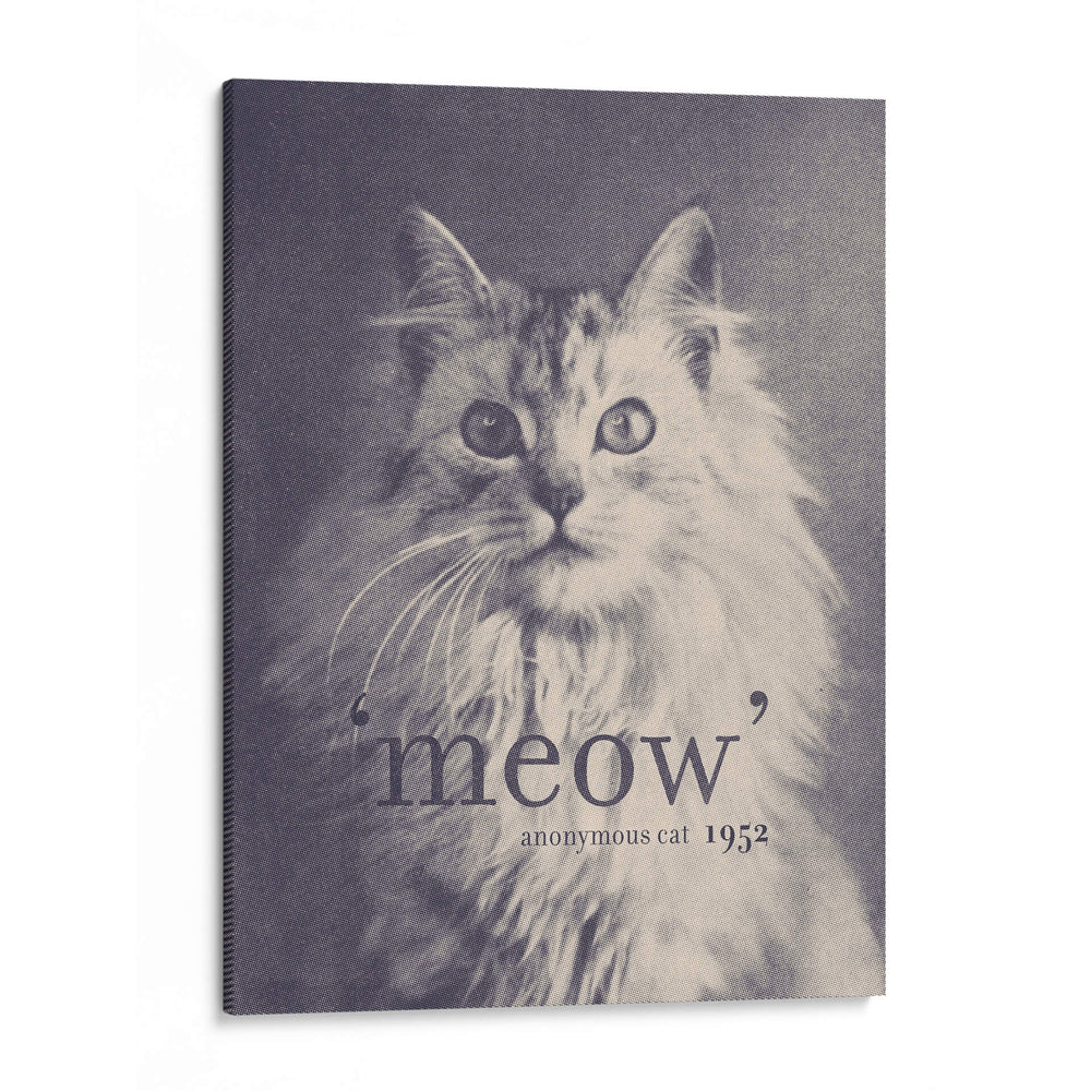 Cita célebre del gato - Florent Bodart | Cuadro decorativo de Canvas Lab