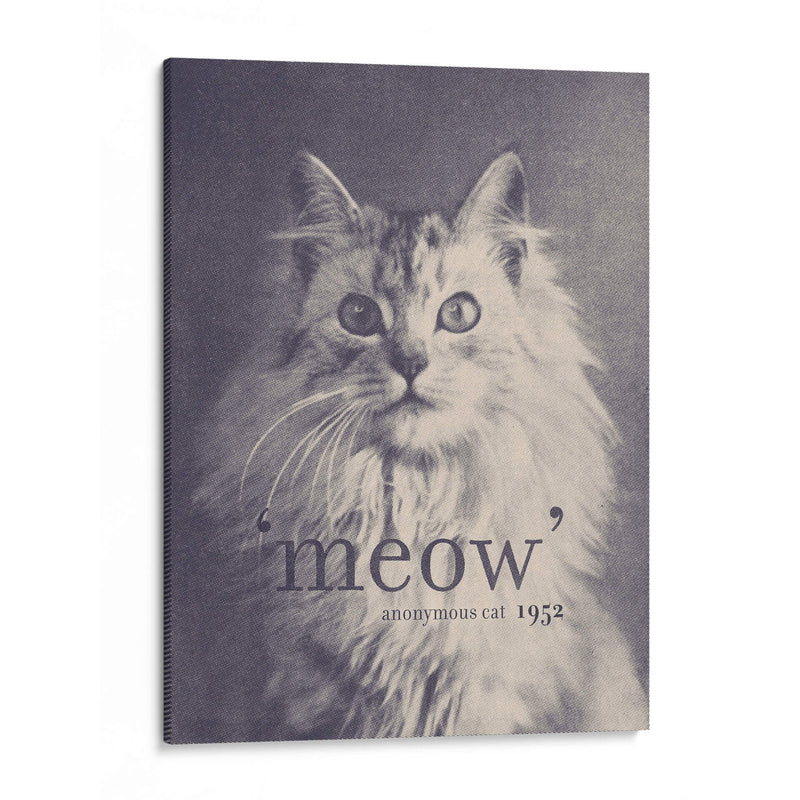 Cita célebre del gato - Florent Bodart | Cuadro decorativo de Canvas Lab