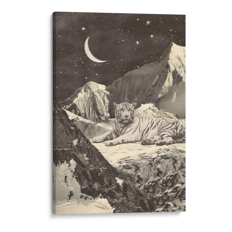 Tigre blanco gigante - Florent Bodart | Cuadro decorativo de Canvas Lab