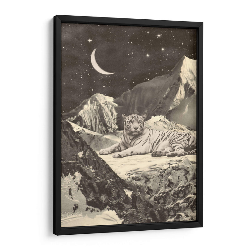 Tigre blanco gigante - Florent Bodart | Cuadro decorativo de Canvas Lab