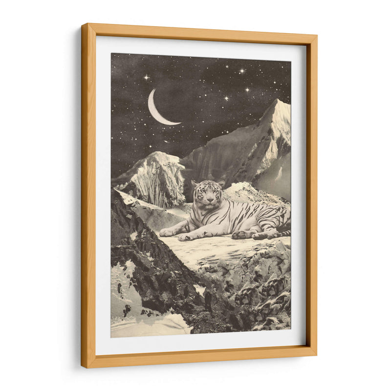 Tigre blanco gigante - Florent Bodart | Cuadro decorativo de Canvas Lab