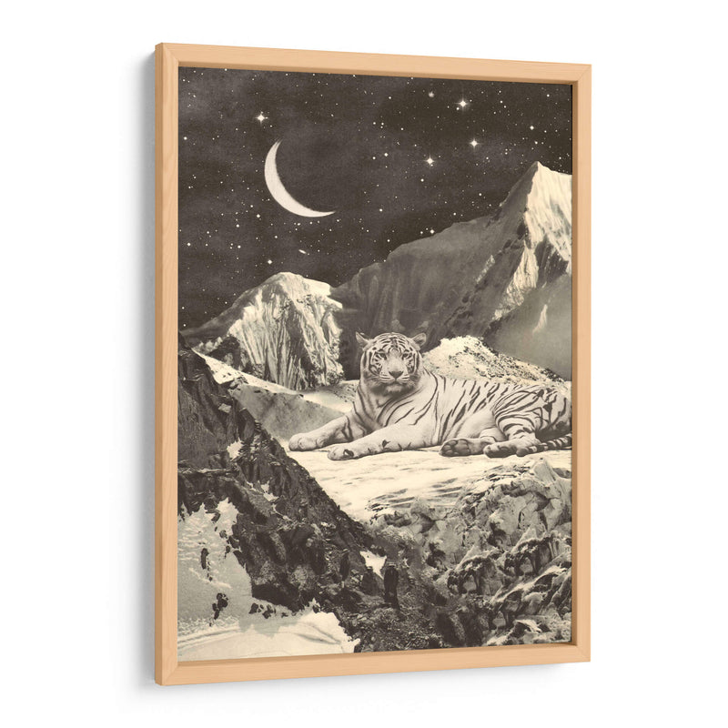 Tigre blanco gigante - Florent Bodart | Cuadro decorativo de Canvas Lab