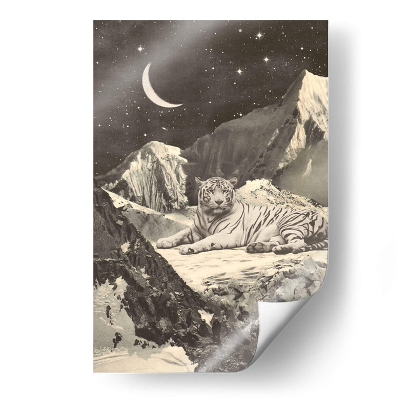 Tigre blanco gigante - Florent Bodart | Cuadro decorativo de Canvas Lab