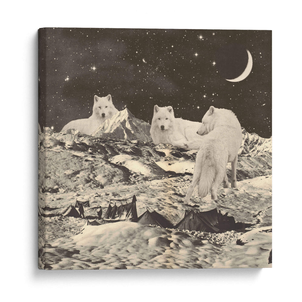 Lobos blancos gigantes - Florent Bodart | Cuadro decorativo de Canvas Lab