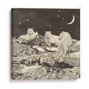 Lobos blancos gigantes - Florent Bodart | Cuadro decorativo de Canvas Lab