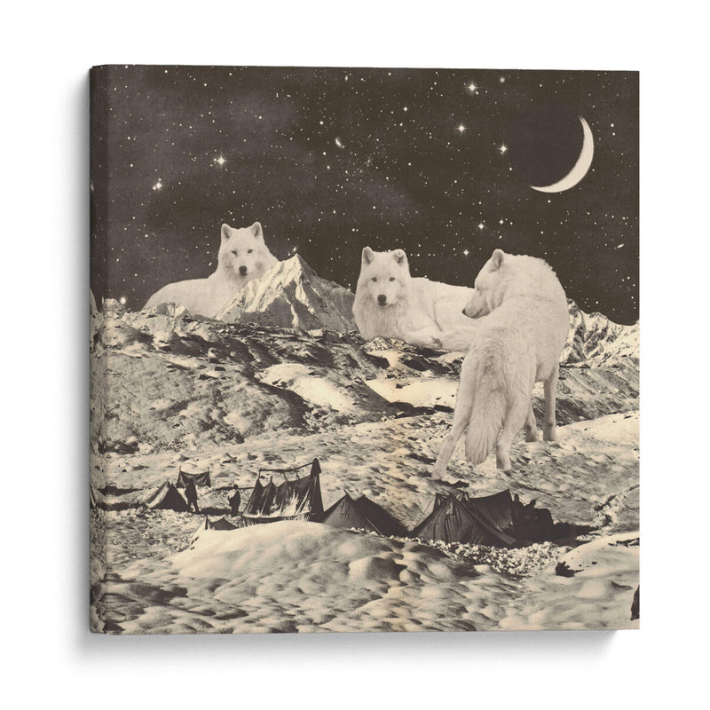 Lobos blancos gigantes - Florent Bodart | Cuadro decorativo de Canvas Lab