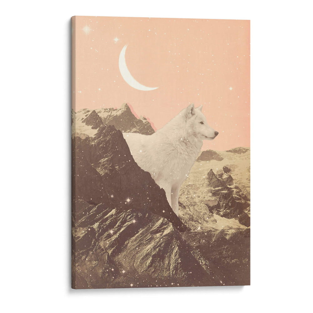 Lobo blanco gigante en las montañas - Florent Bodart | Cuadro decorativo de Canvas Lab