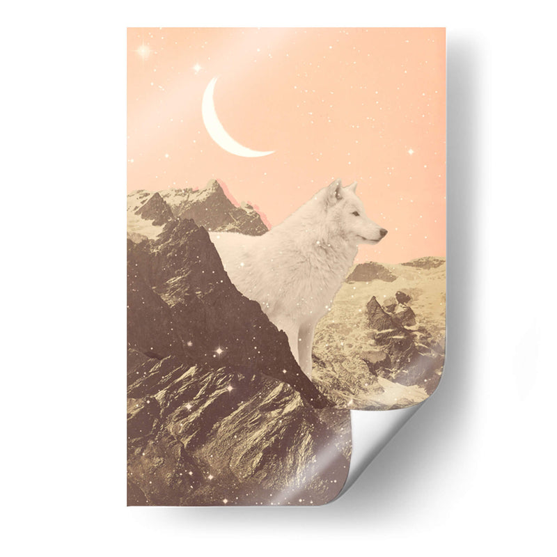 Lobo blanco gigante en las montañas - Florent Bodart | Cuadro decorativo de Canvas Lab