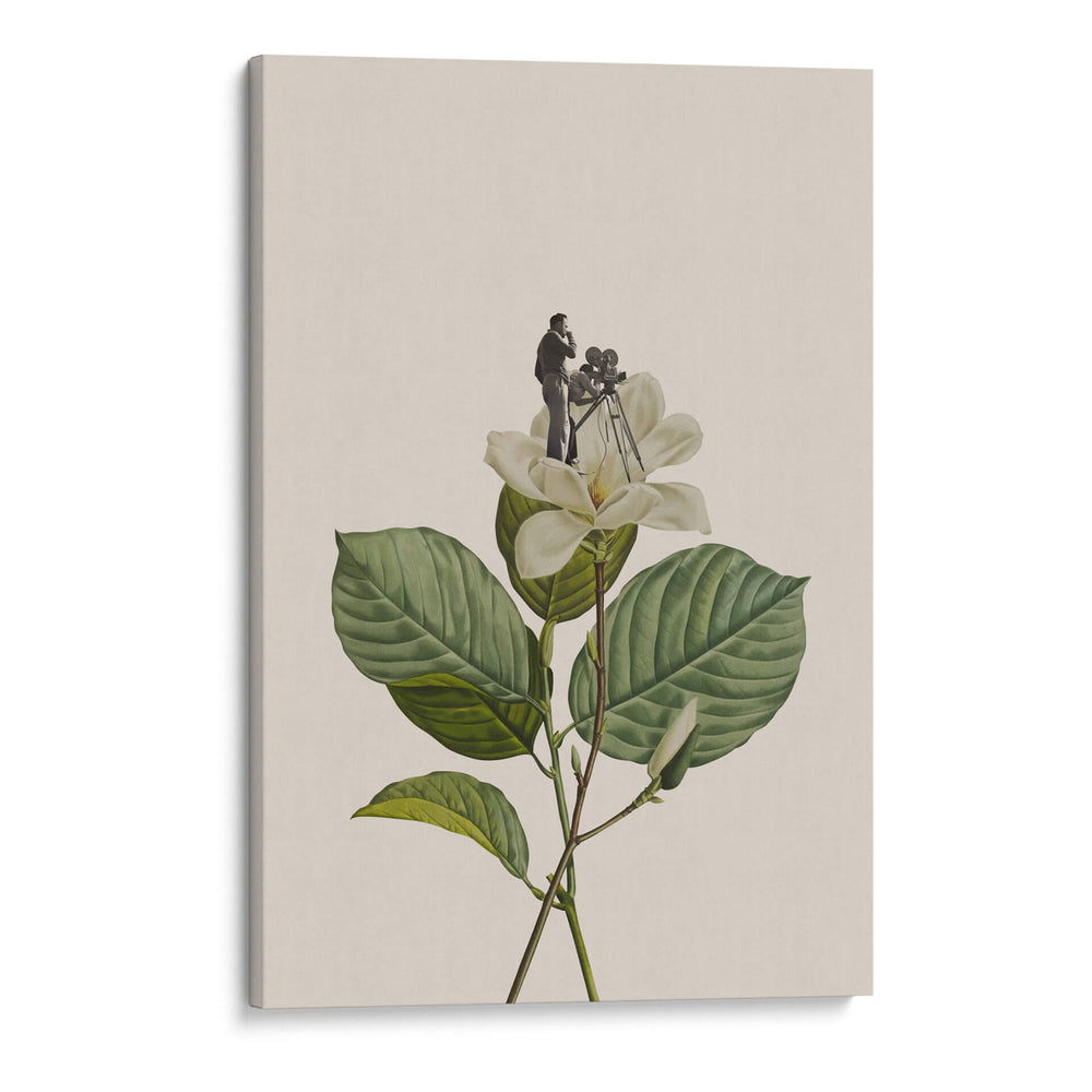 Camarógrafo botánico vintage - Frida Floral Studio | Cuadro decorativo de Canvas Lab