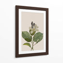 Camarógrafo botánico vintage - Frida Floral Studio | Cuadro decorativo de Canvas Lab