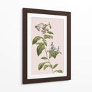 Ciclismo botánico - Frida Floral Studio | Cuadro decorativo de Canvas Lab
