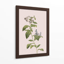 Ciclismo botánico - Frida Floral Studio | Cuadro decorativo de Canvas Lab