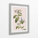 Ciclismo botánico - Frida Floral Studio | Cuadro decorativo de Canvas Lab