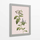 Ciclismo botánico - Frida Floral Studio | Cuadro decorativo de Canvas Lab