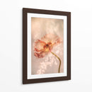 Amapola Radiante - Hilda van der | Cuadro decorativo de Canvas Lab