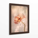 Amapola Radiante - Hilda van der | Cuadro decorativo de Canvas Lab