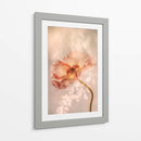 Amapola Radiante - Hilda van der | Cuadro decorativo de Canvas Lab