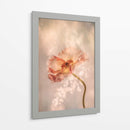 Amapola Radiante - Hilda van der | Cuadro decorativo de Canvas Lab