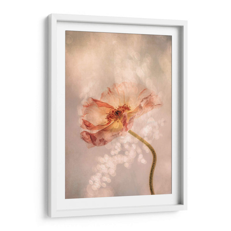 Cuadro decorativo de Canvas Lab