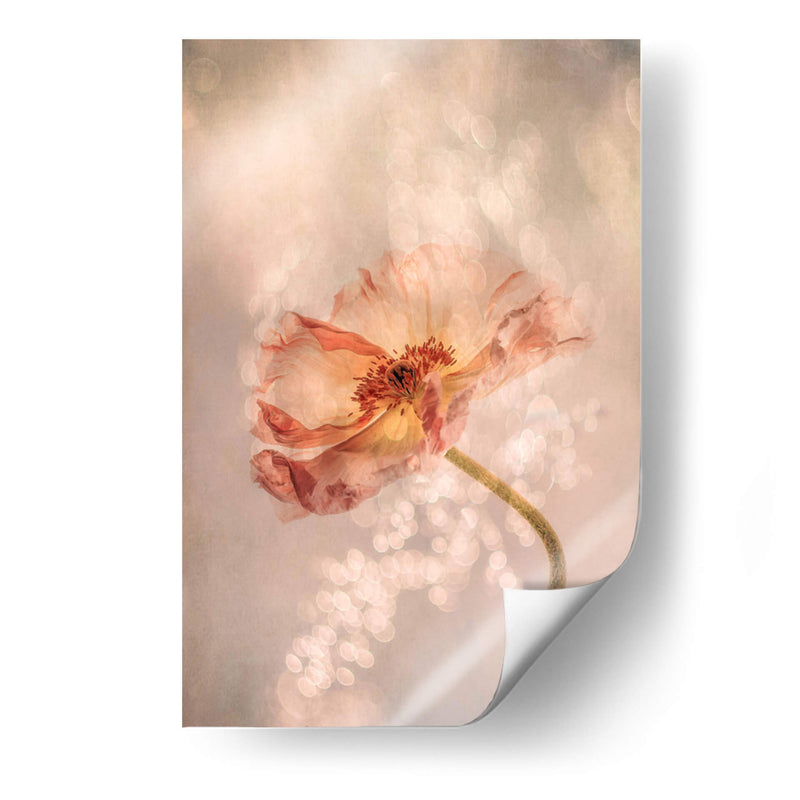 Cuadro decorativo de Canvas Lab