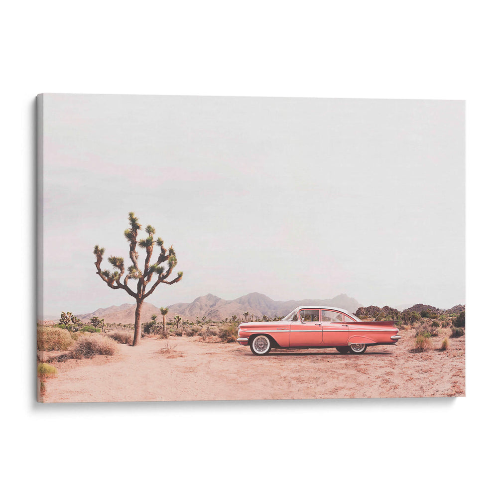En el desierto - Kathrin Pienaar | Cuadro decorativo de Canvas Lab