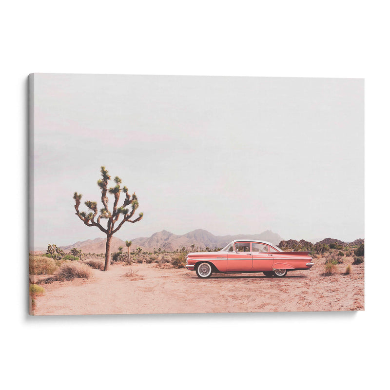 En el desierto - Kathrin Pienaar | Cuadro decorativo de Canvas Lab