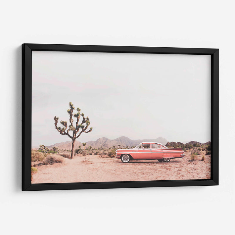 En el desierto - Kathrin Pienaar | Cuadro decorativo de Canvas Lab