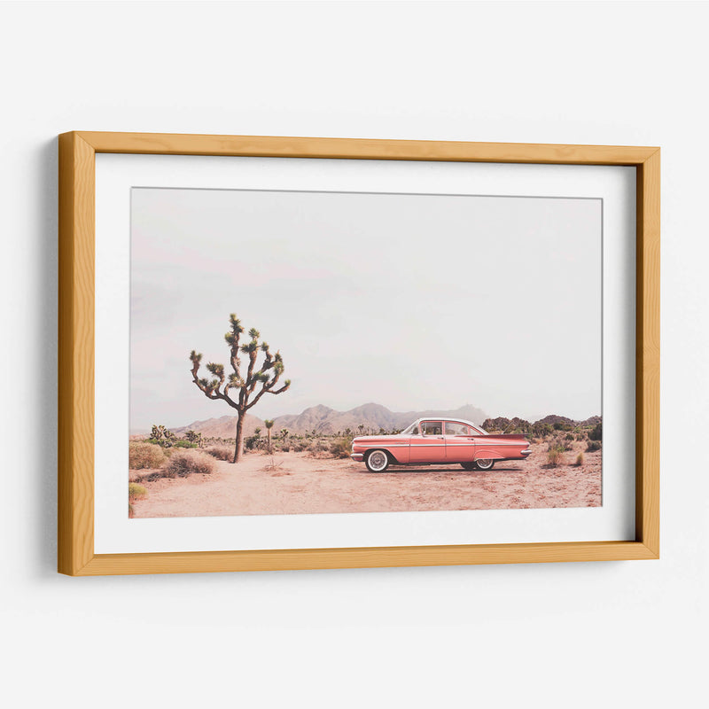 En el desierto - Kathrin Pienaar | Cuadro decorativo de Canvas Lab