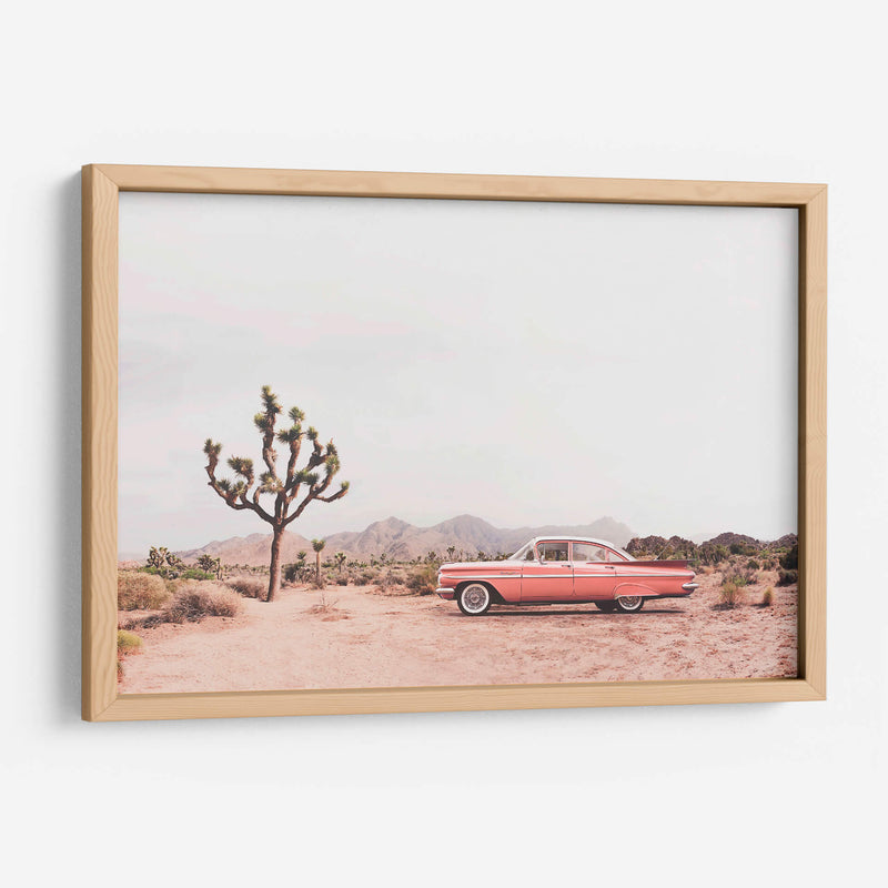 En el desierto - Kathrin Pienaar | Cuadro decorativo de Canvas Lab