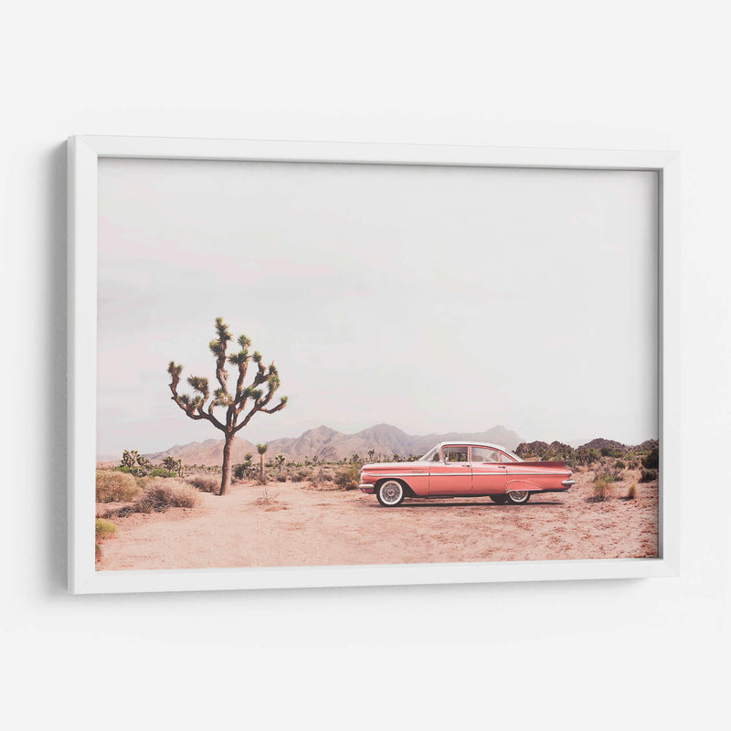 En el desierto - Kathrin Pienaar | Cuadro decorativo de Canvas Lab