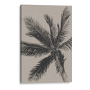 Palmera sólida - Eda Unsoy | Cuadro decorativo de Canvas Lab