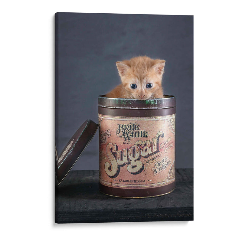 Chip - Arendina de Jong | Cuadro decorativo de Canvas Lab