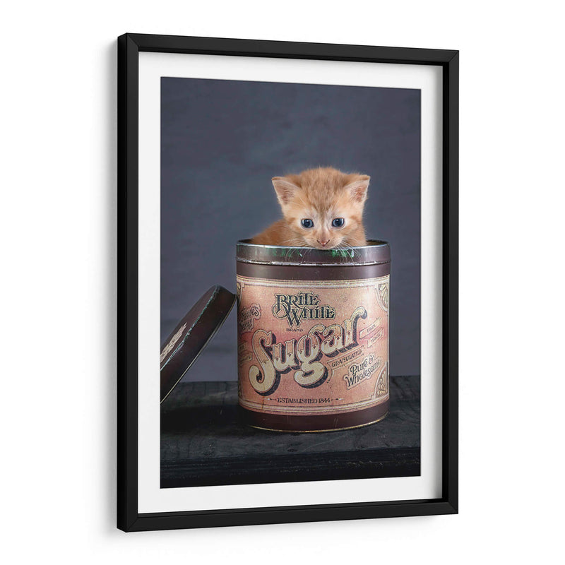 Cuadro decorativo de Canvas Lab