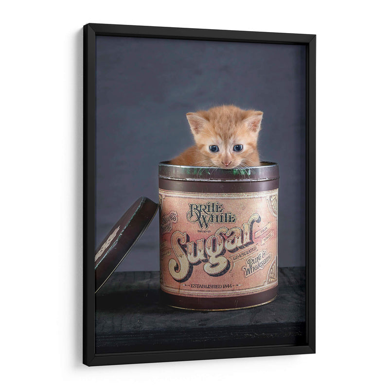 Cuadro decorativo de Canvas Lab