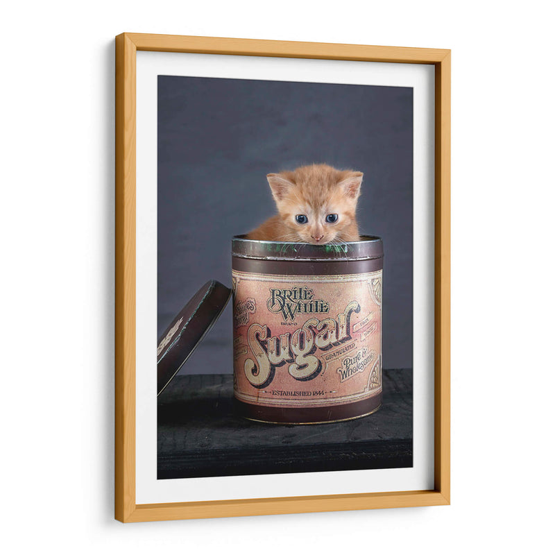 Cuadro decorativo de Canvas Lab