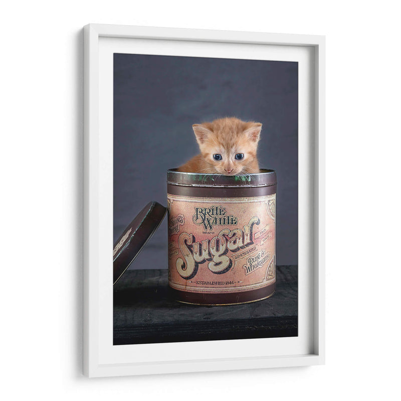 Cuadro decorativo de Canvas Lab