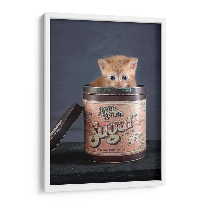 Cuadro decorativo de Canvas Lab