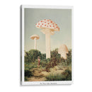 The Finest Giant Mushrooms - Florent Bodart | Cuadro decorativo de Canvas Lab